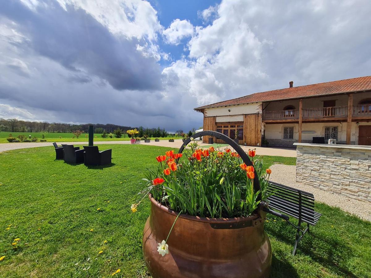 Domaine Du Cuiset -Gite Des Combles Villa Saint-André-sur-Vieux-Jonc Exterior foto