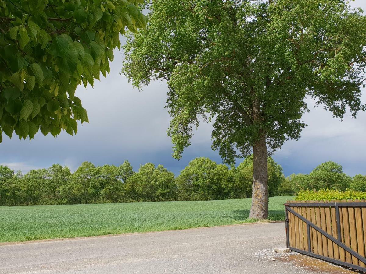Domaine Du Cuiset -Gite Des Combles Villa Saint-André-sur-Vieux-Jonc Exterior foto
